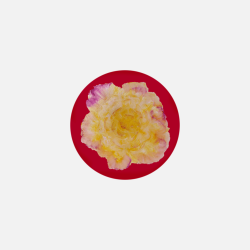 Floral Red Coaster
