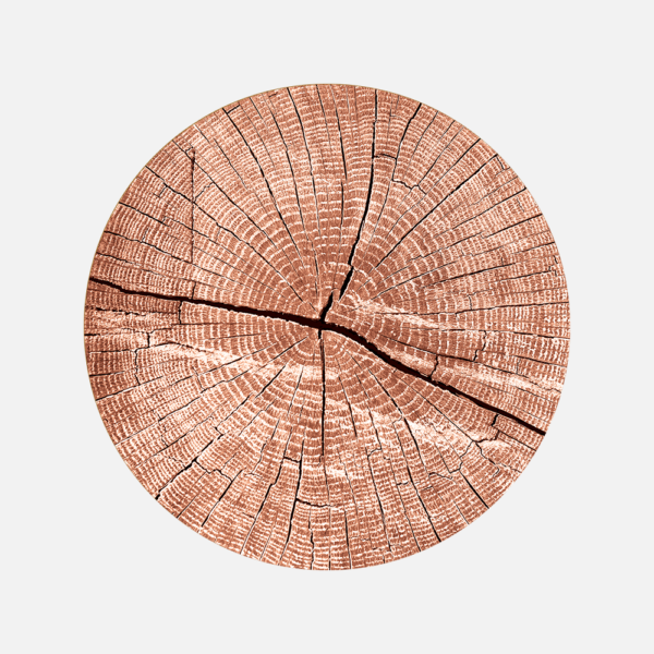 Rings of Knowledge Terra Cotta Bottle Coaster