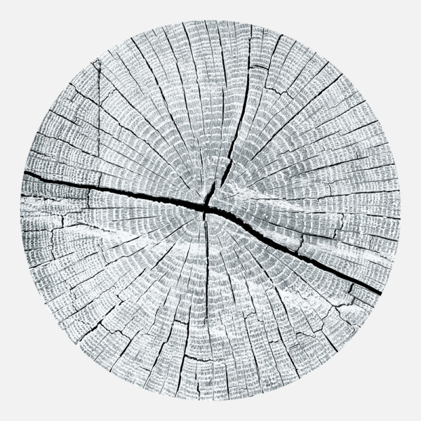 Rings of Knowledge Grey Placemat