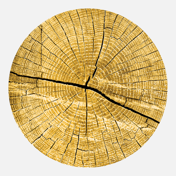 Rings of Knowledge Mustard Placemat